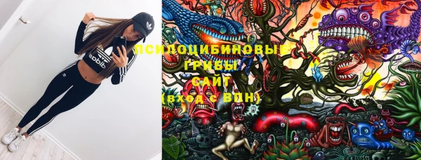 твердый Балахна